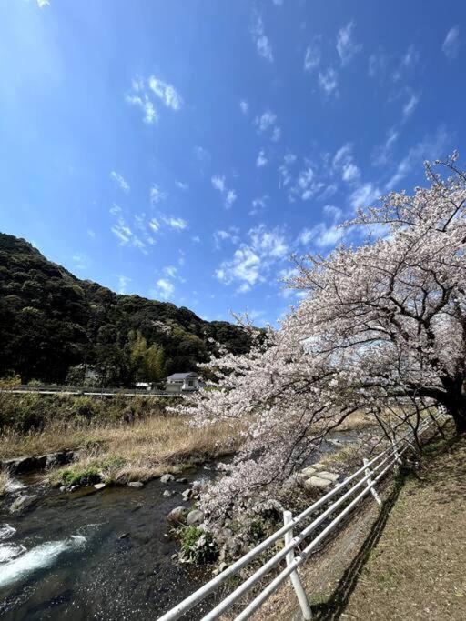御浜岬の至福を一身に味わう 一軒家貸切宿で贅沢なバーベキューを楽しみながら夕陽に染まる戸田湾の美しさを満喫 Numazu Exterior foto