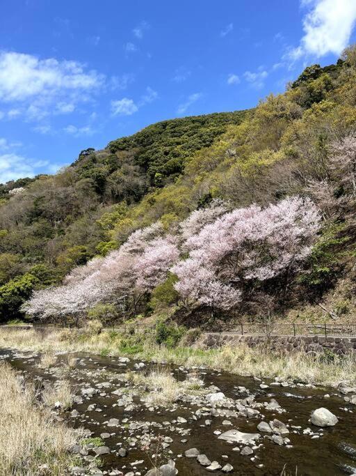 御浜岬の至福を一身に味わう 一軒家貸切宿で贅沢なバーベキューを楽しみながら夕陽に染まる戸田湾の美しさを満喫 Numazu Exterior foto